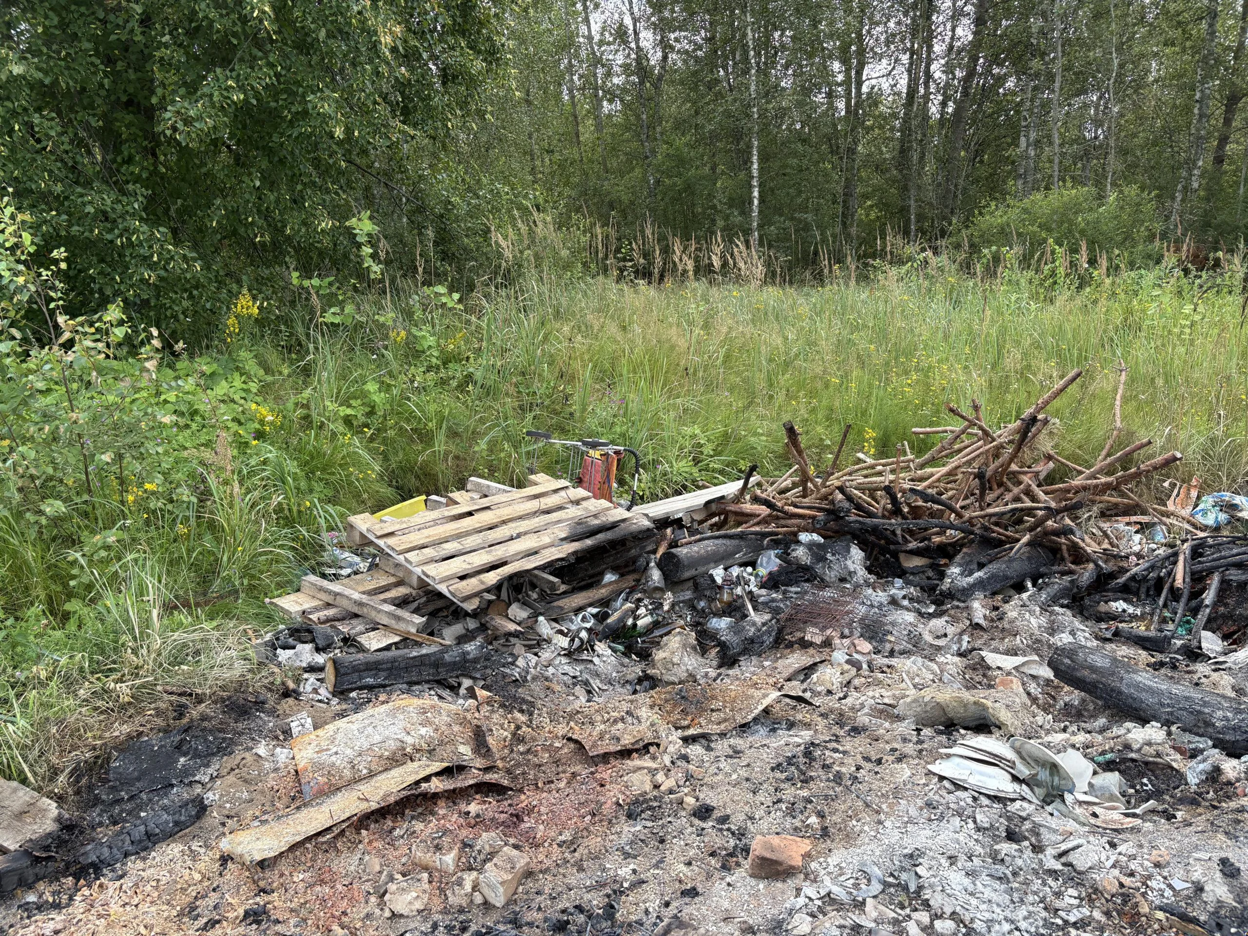 В Псковской области нашли новые несанкционированные свалки