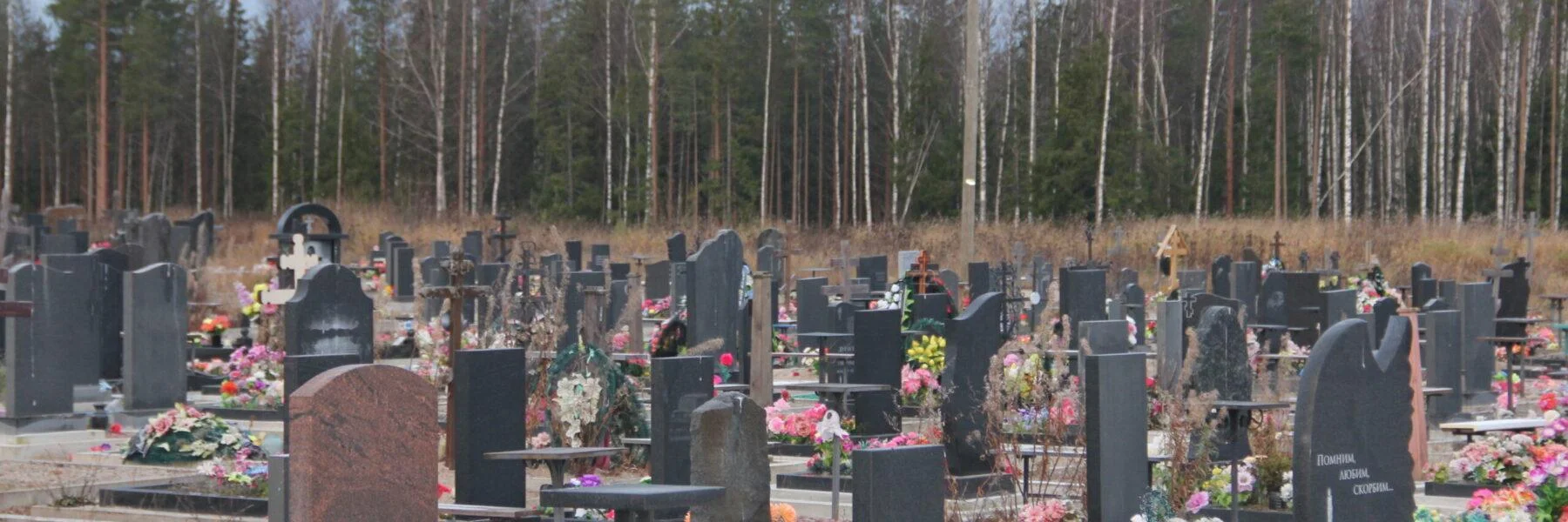 Население Карелии за&nbsp;год&nbsp;сократилось почти на&nbsp;5&nbsp;тысяч человек