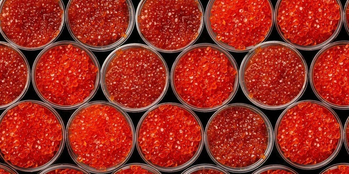 Красная икра в&nbsp;Мурманской области&nbsp;— самая дорогая в&nbsp;стране