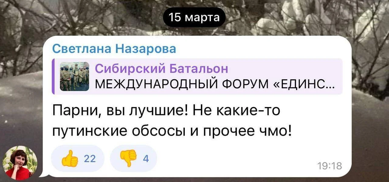 Два&nbsp;года колонии дали вологжанке за&nbsp;комментарий про&nbsp;«путинских обсосов»