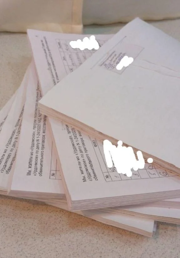 Жители поселка в&nbsp;Архангельской области собрали больше 1200 подписей в&nbsp;защиту защитника Шиеса