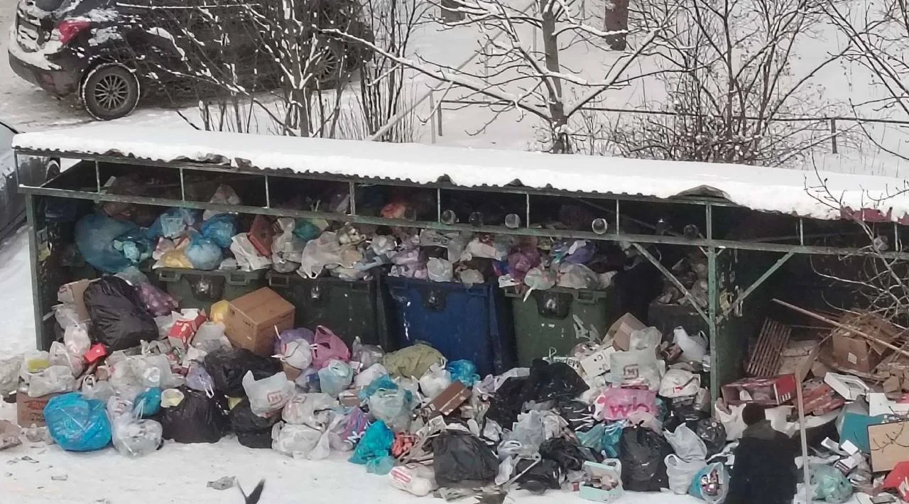 В&nbsp;Новгородской области вновь возникли проблемы с&nbsp;вывозом мусора