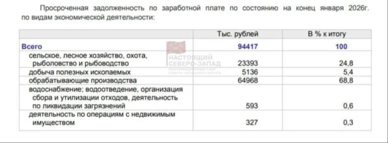 Долги по зарплатам в Карелии выросли до 94 млн рублей