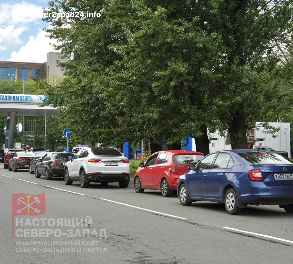 Черновик