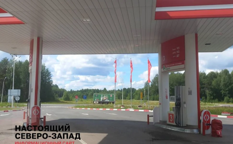 Черновик