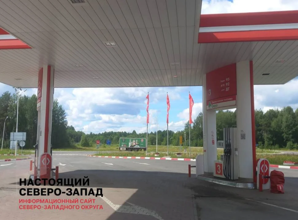 Черновик