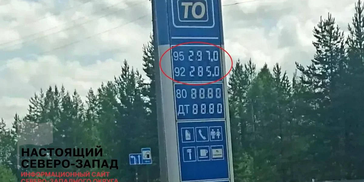Черновик